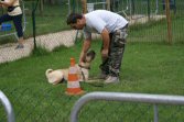 Bao Dai flicit aprs l'absence du matre