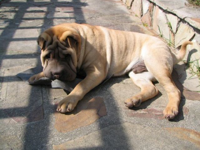 avril07-bao01.jpg