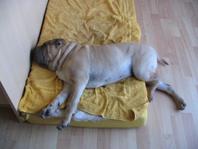 avril07-bao03.jpg