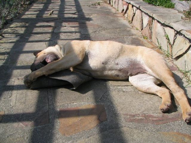 avril07-bao06.jpg