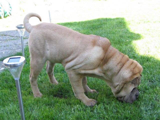 avril07-bao08.jpg