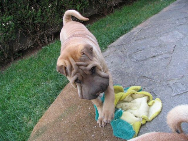avril07-bao10.jpg
