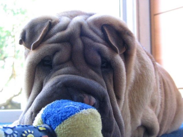 avril07-bao12.jpg