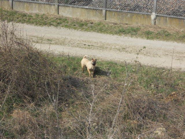 2011-Bao02.jpg
