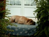 C'est dur les vacances