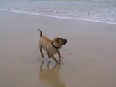 Au secours ! Une vague !