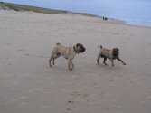 Le sable c'est amusant