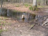 bain pour Shaoxing